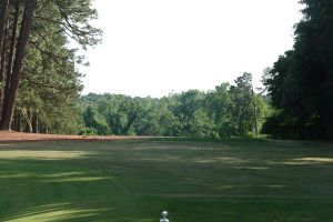 Palmetto 17th Tee